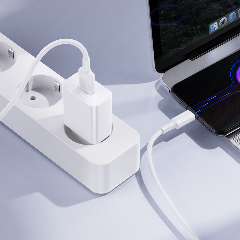 Chargeur Secteur BOROFONE BA110A Lemi - Photo 7